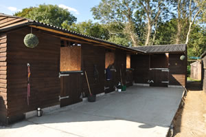Advanced Dressage